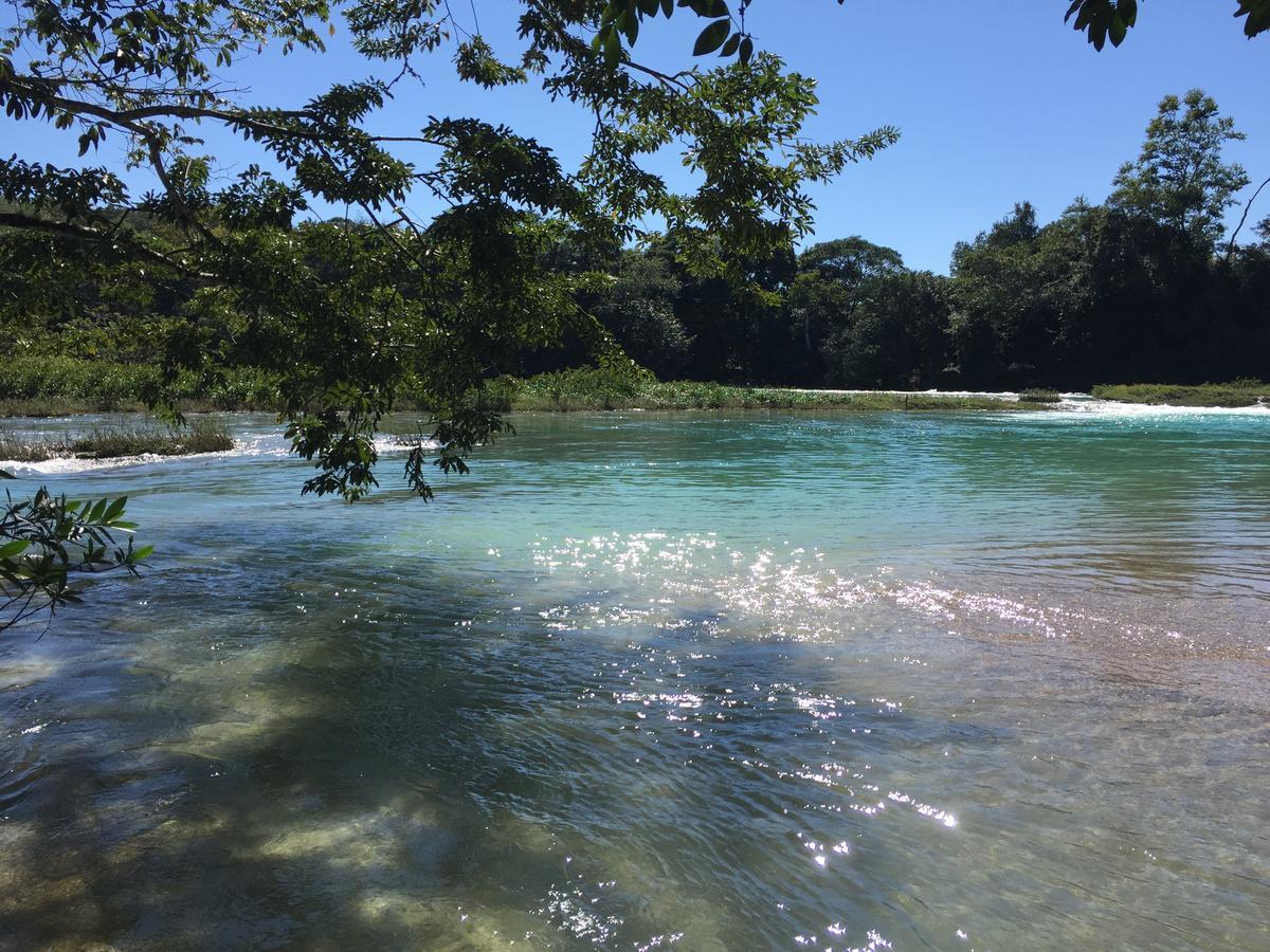 La Fortuna Gallo Giro Ecolodge Las Nubes Chiapas מראה חיצוני תמונה