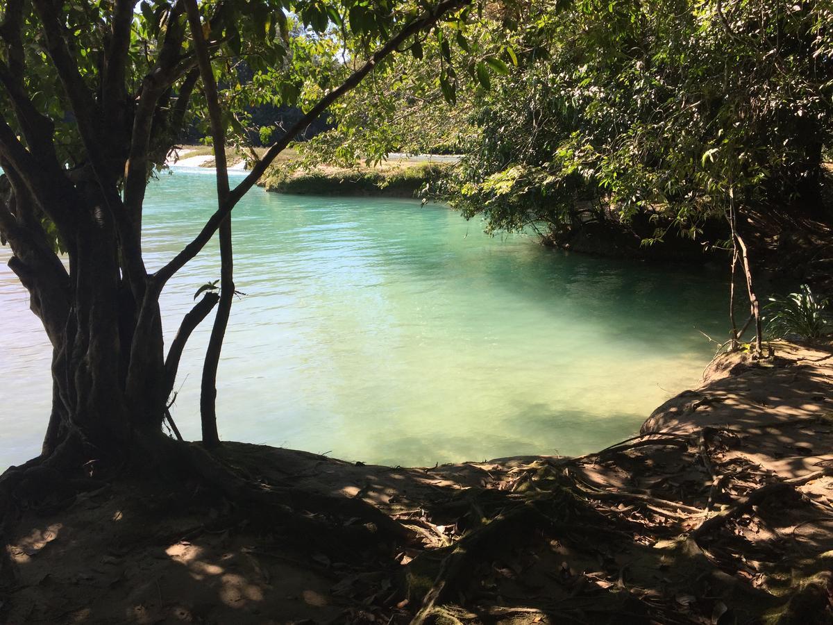 La Fortuna Gallo Giro Ecolodge Las Nubes Chiapas מראה חיצוני תמונה