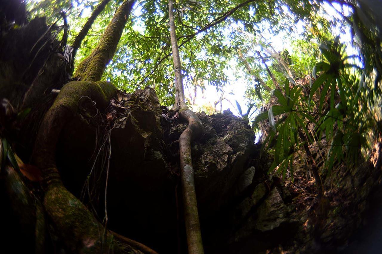 La Fortuna Gallo Giro Ecolodge Las Nubes Chiapas מראה חיצוני תמונה