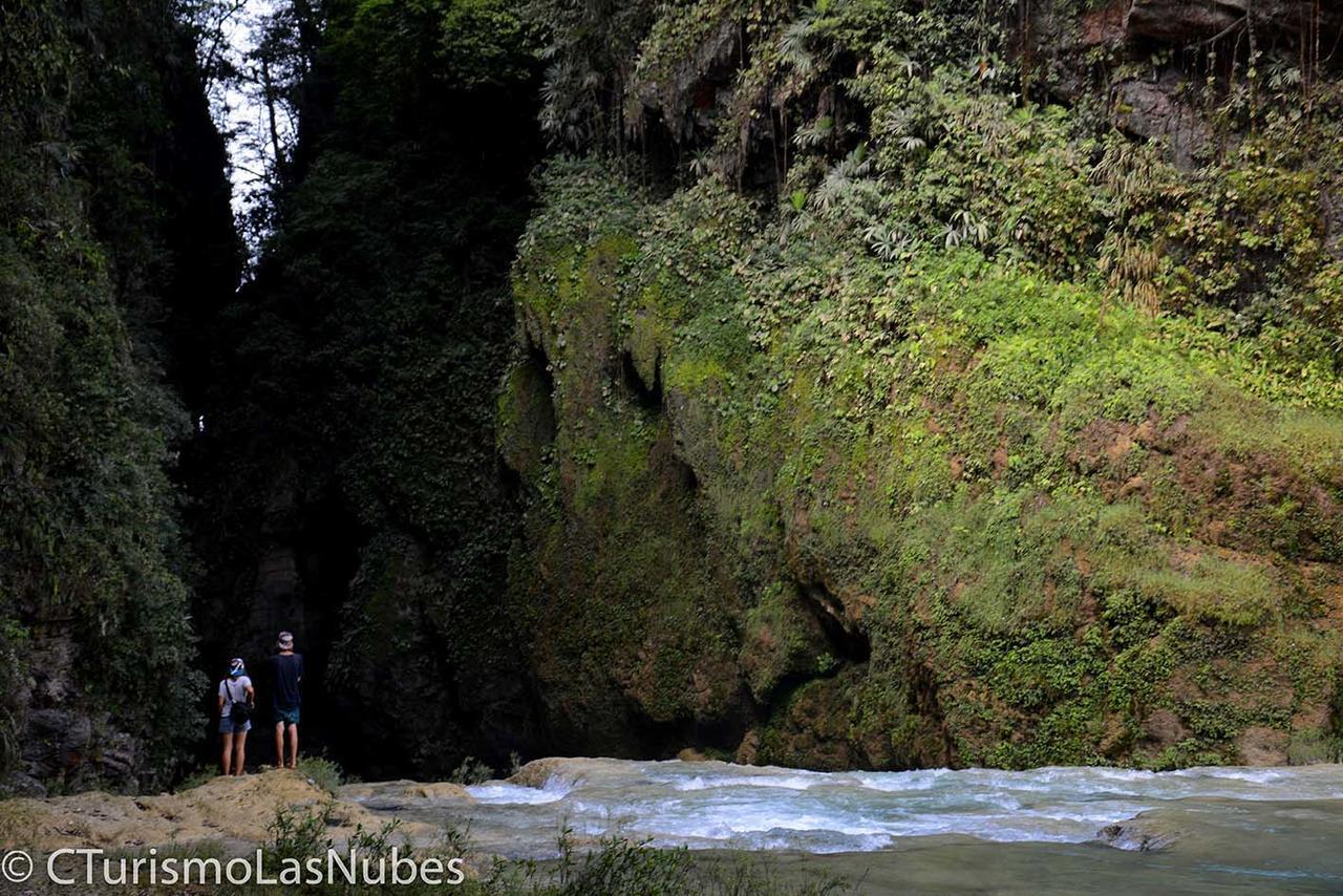 La Fortuna Gallo Giro Ecolodge Las Nubes Chiapas מראה חיצוני תמונה