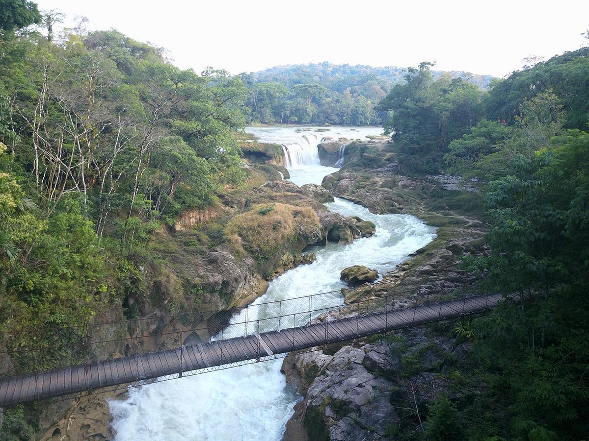 La Fortuna Gallo Giro Ecolodge Las Nubes Chiapas מראה חיצוני תמונה