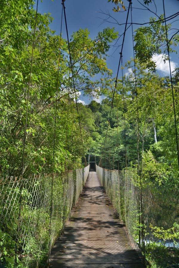 La Fortuna Gallo Giro Ecolodge Las Nubes Chiapas מראה חיצוני תמונה